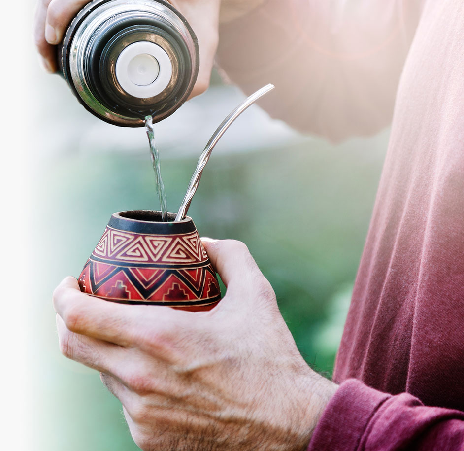 yerba mate antioxidáns